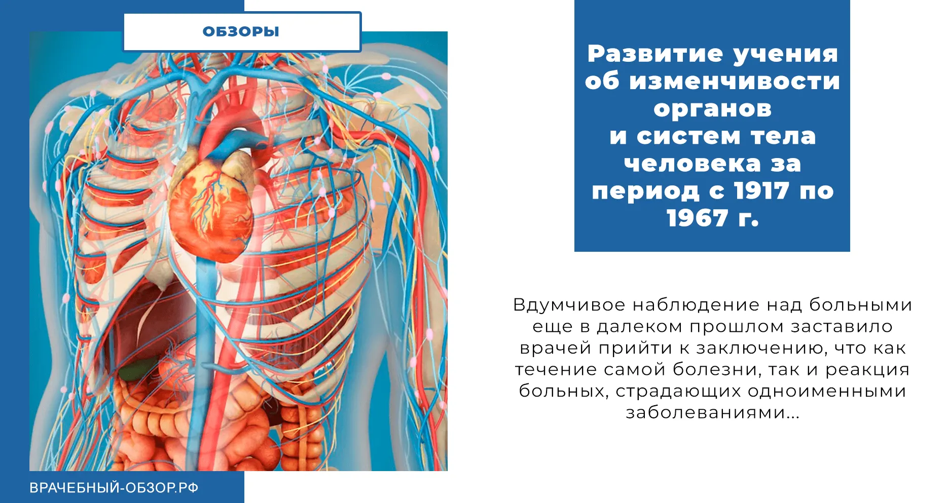 Развитие учения об изменчивости органов и систем тела человека за период с 1917 по 1967 г.